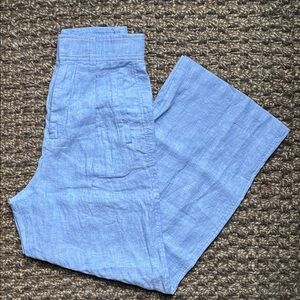 Everlane Linen Way-High Drape Pants in Blue